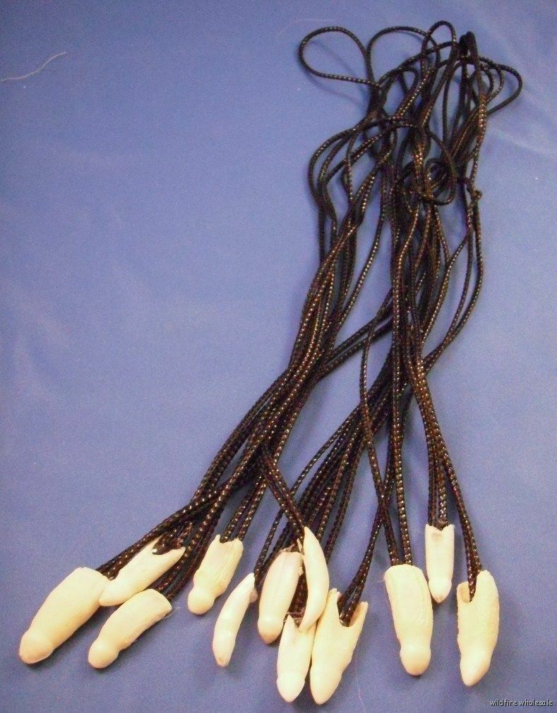 One FLORIDA ALLIGATOR GATOR TEETH NECKLACE genuine real tooth 24″
