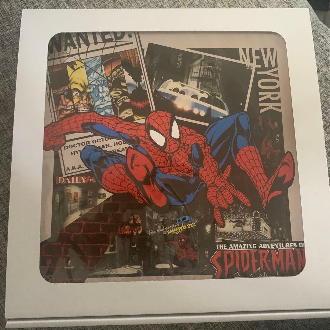 Universal Studios Japan Spider-Man Art Panel 30cm Limited Edition Used